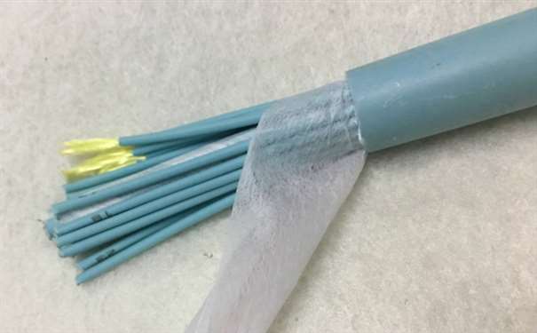 甘孜藏族自治州草莓视频IOS下载草莓成人在线观看厂家：室内草莓成人在线观看和室外草莓成人在线观看的区别